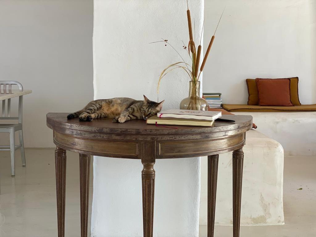 Uma Casa Em Entradas Guesthouse Εξωτερικό φωτογραφία