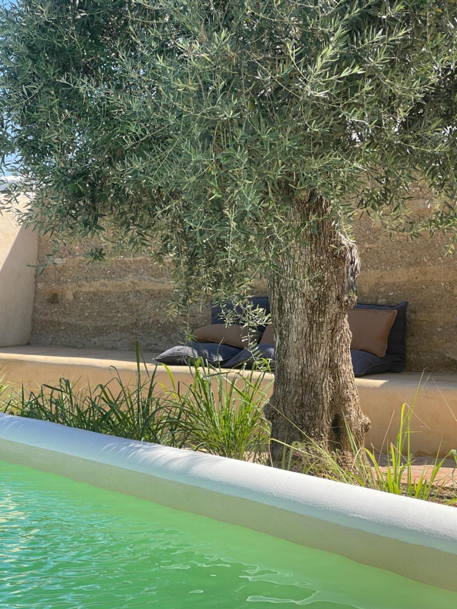 Uma Casa Em Entradas Guesthouse Εξωτερικό φωτογραφία