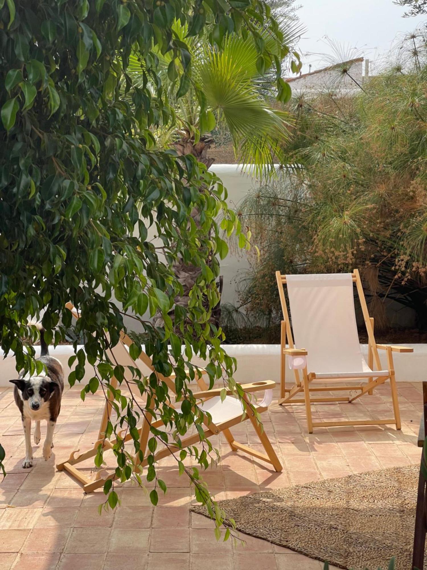 Uma Casa Em Entradas Guesthouse Εξωτερικό φωτογραφία
